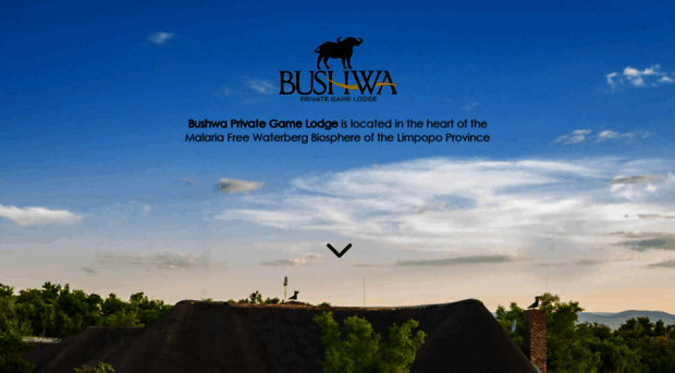 bushwa.co.za