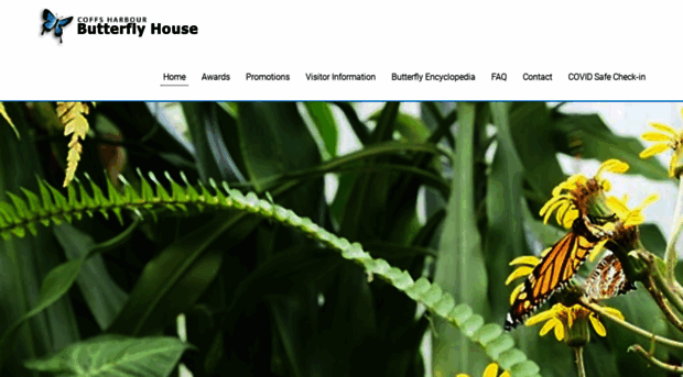 butterflyhouse.com.au
