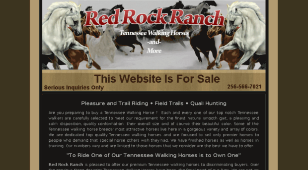 buy-a-tennessee-walking-horse.com