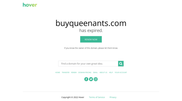 buyqueenants.com