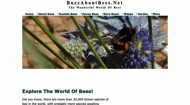 buzz-about-bees.com