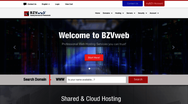 bzvweb.com