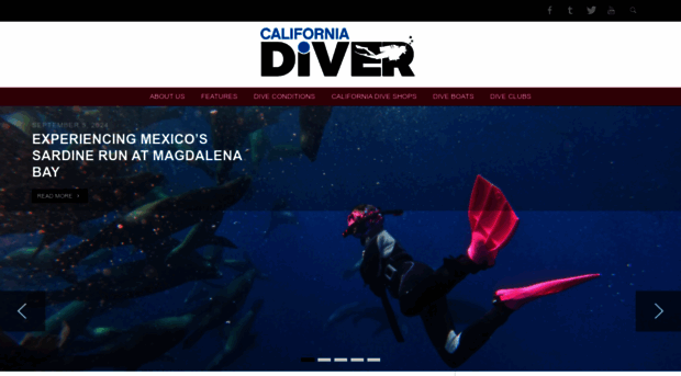 californiadiver.com