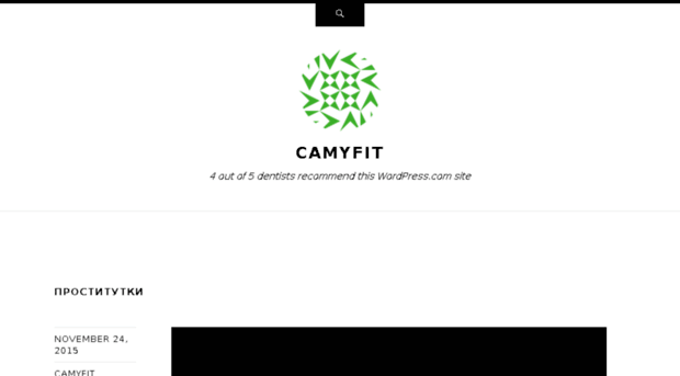 camyfit.wordpress.com