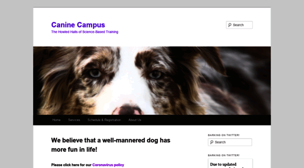 caninecampus.wpengine.com