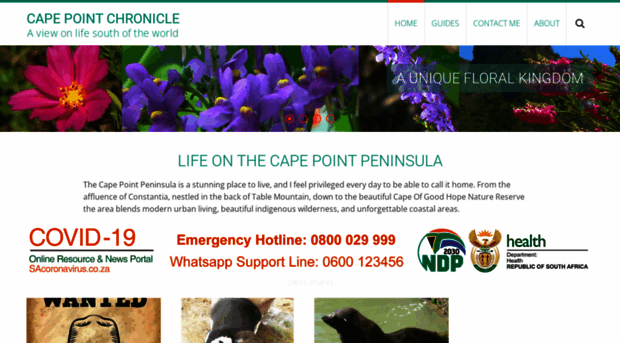 capepointchronicle.co.za