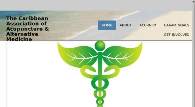 caribbeanacupuncture.org