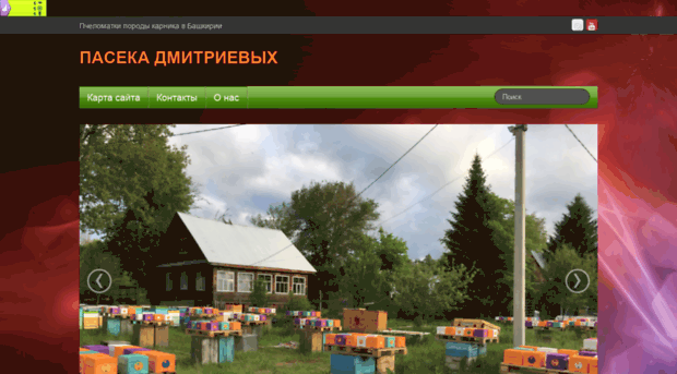 carnicamed.ru