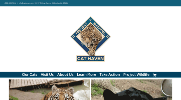 cathaven.com