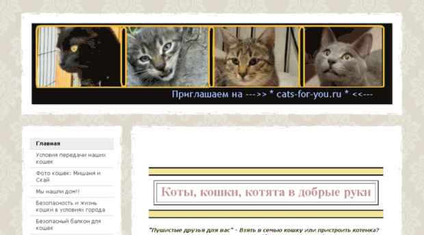 cats-for-you.jimdo.com