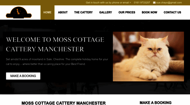 catteryinmanchester.co.uk