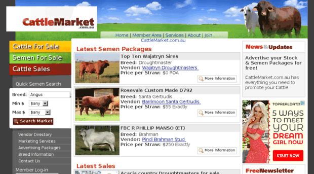 cattlemarket.com.au