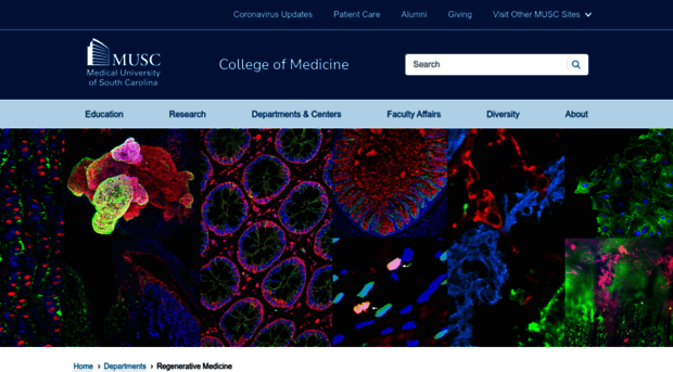 cba.musc.edu