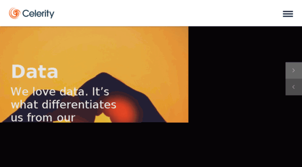 celerity-is.co.uk