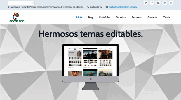chameleon.com.mx
