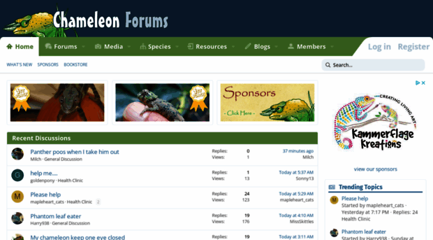 chameleonforums.com