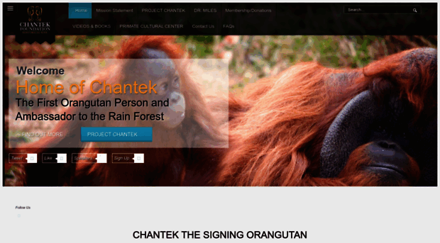 chantek.org