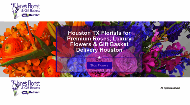 checkhouston.com