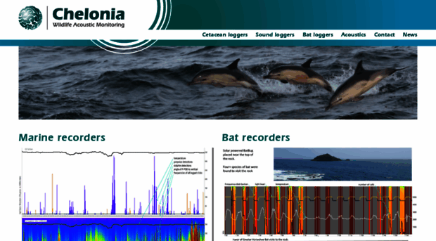 chelonia.co.uk