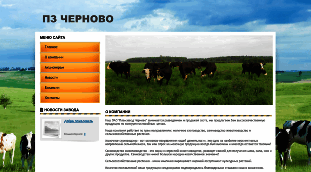 chernovo-spb.ru