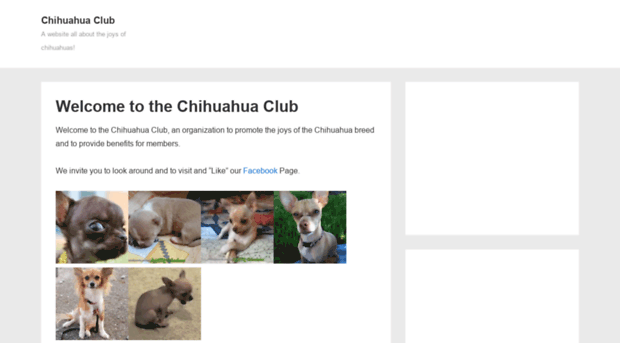 chihuahuaclub.org