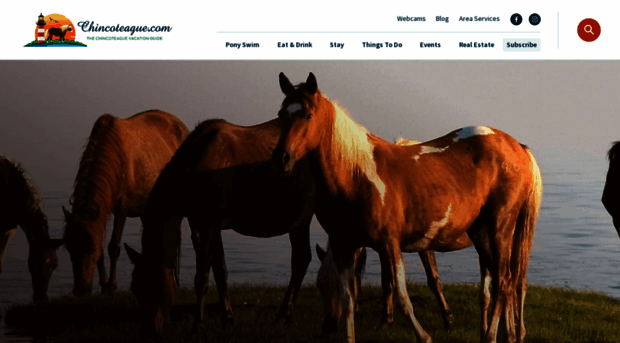chincoteague.com