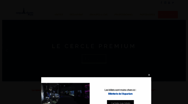 cineaqua.com