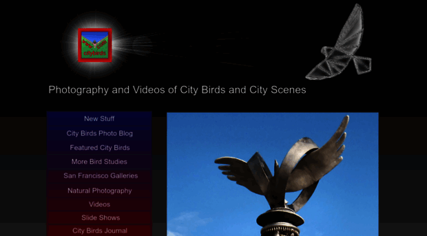 citybirds.com