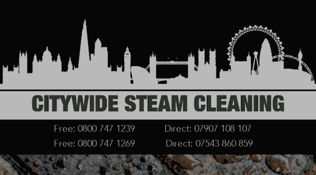 citywidesteamcleaning.com
