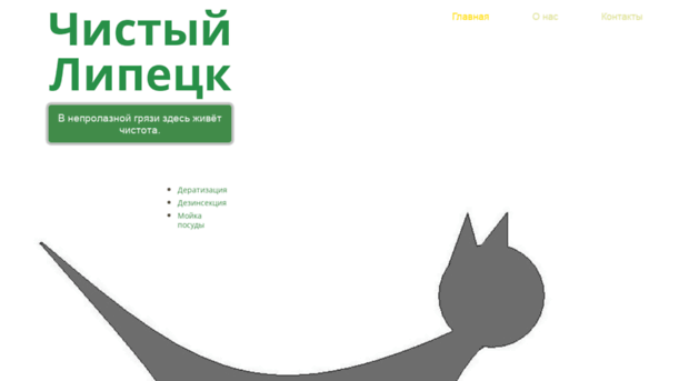 cleanlipetsk.ru
