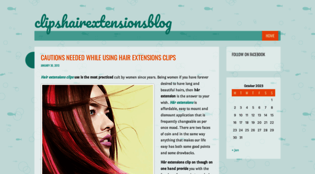 clipshairextensionsblog.wordpress.com