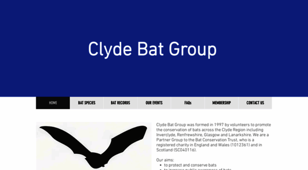 clydebatgroup.org
