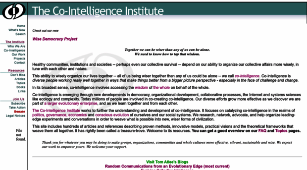 co-intelligence.com