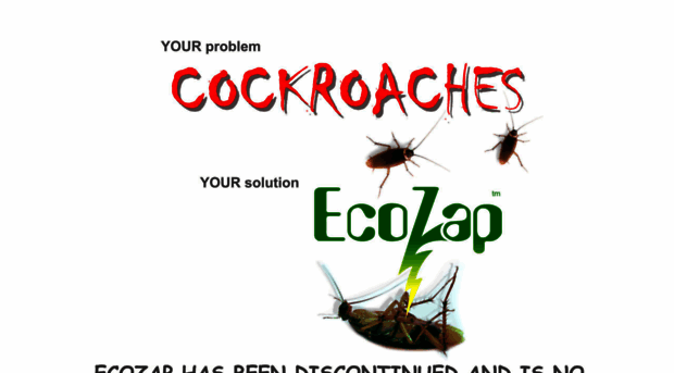 cockroaches.co.za