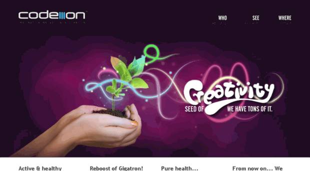 codeion.com