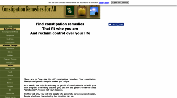 constipation-remedies-for-all.com