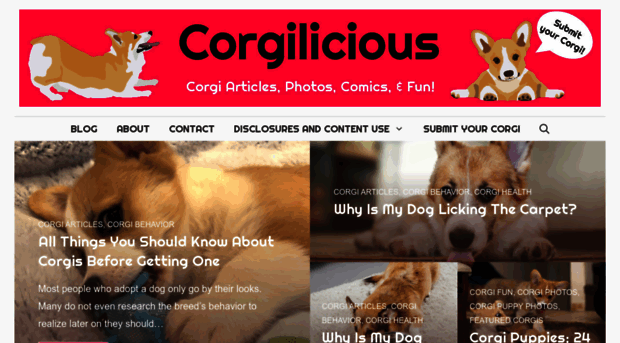 corgilicious.com