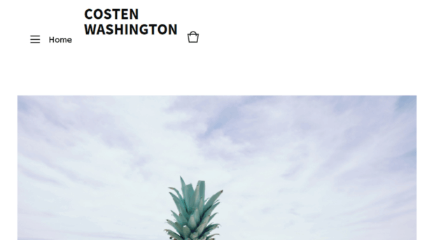 costenwashington.bigcartel.com