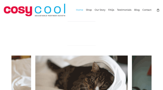 cosycool-allseasonsduvets.co.uk