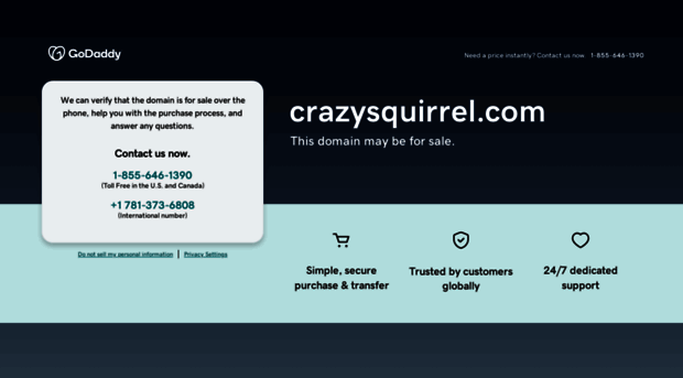 crazysquirrel.com