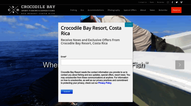 crocodilebay.com