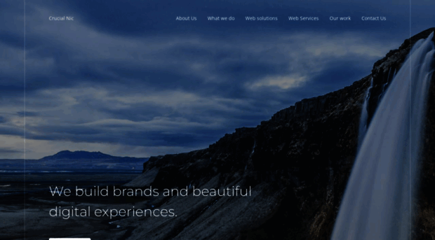crucialnic.com