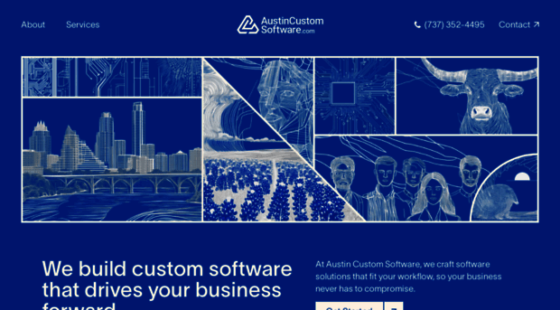 customsoftwareconsult.com