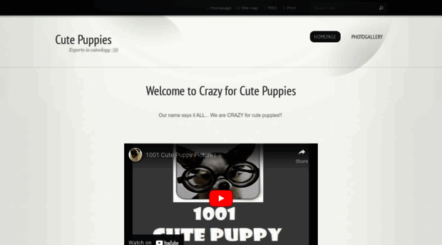 cute-puppies4.webnode.com
