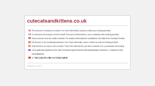 cutecatsandkittens.co.uk