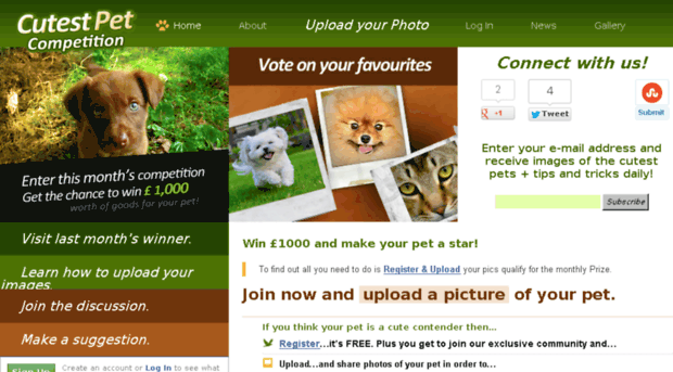 cutestpetcompetition.co.uk