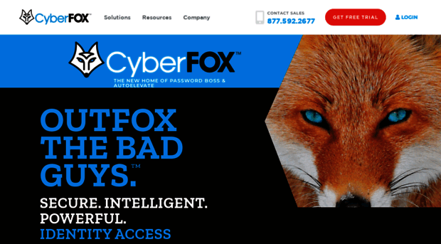 cyberfox.com