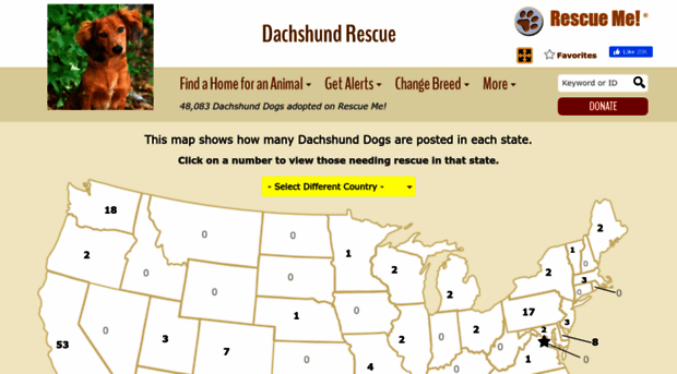 dachshund.rescueme.org