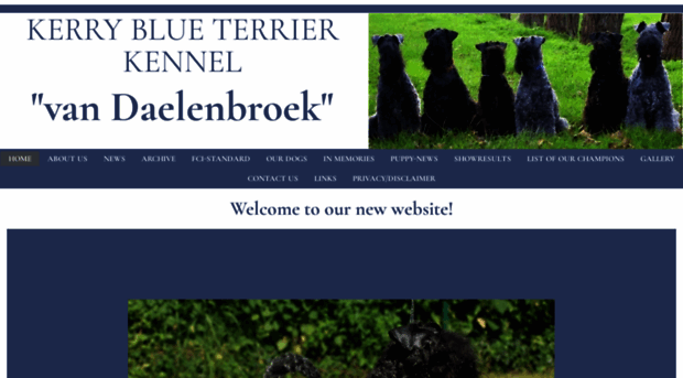 daelenbroek.com