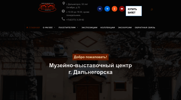 dalmuseum.ru